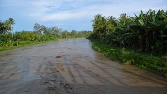 Nias01