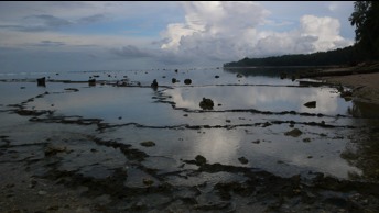 Nias12