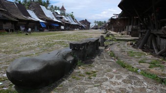 Nias32