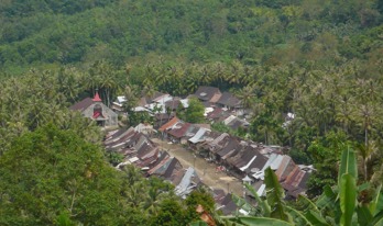 Nias33