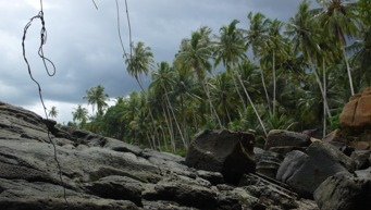 Nias34