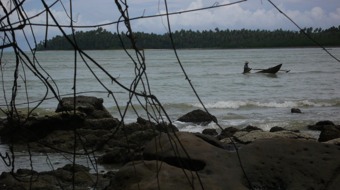 Nias35