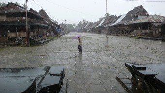 Nias43