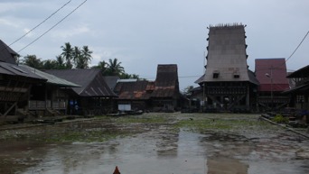 Nias46