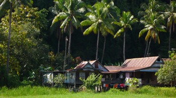 Sulawesi02