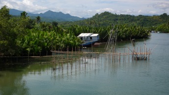 Sulawesi04
