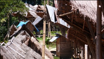 Sulawesi06