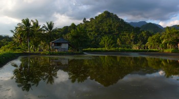 Sulawesi22