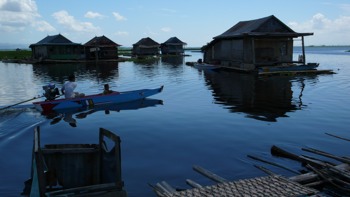 Sulawesi31