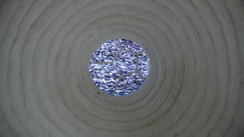 CalearthInstitute05