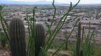 Tucson05